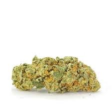Crazy Glue